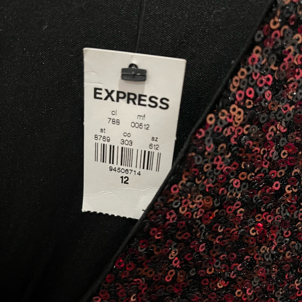 Holiday dress NWT.